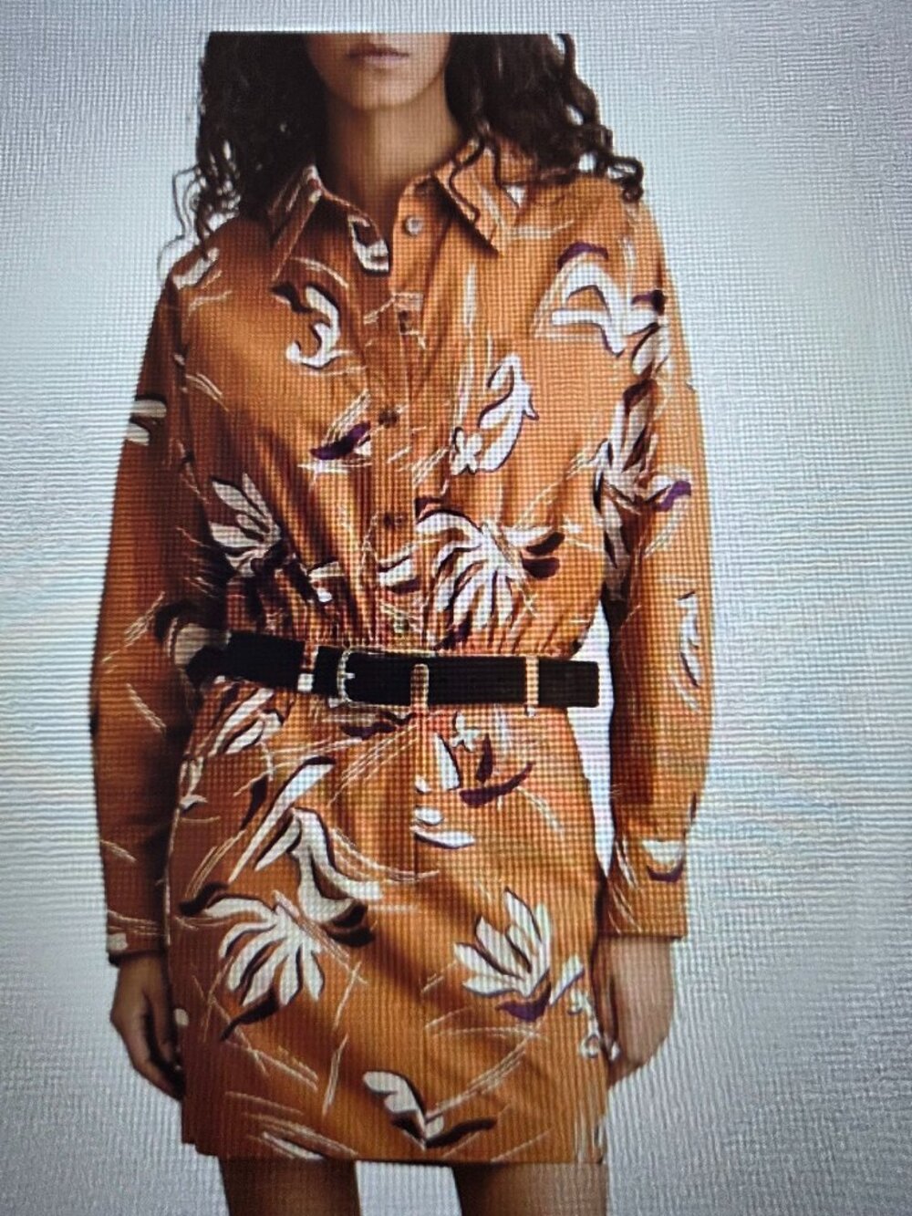 NWT Reiss dress Paired with LN J,McLaughlin reversible Leather Belt